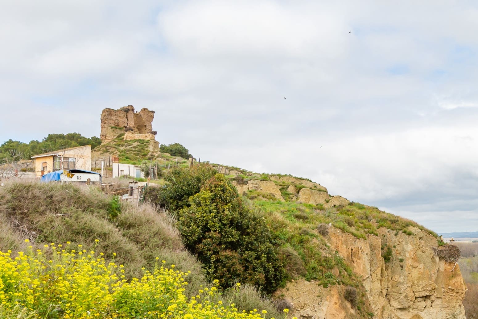 6 soveværelse Villa til salg i Milagro - € 99.500 (Ref: 8905285)