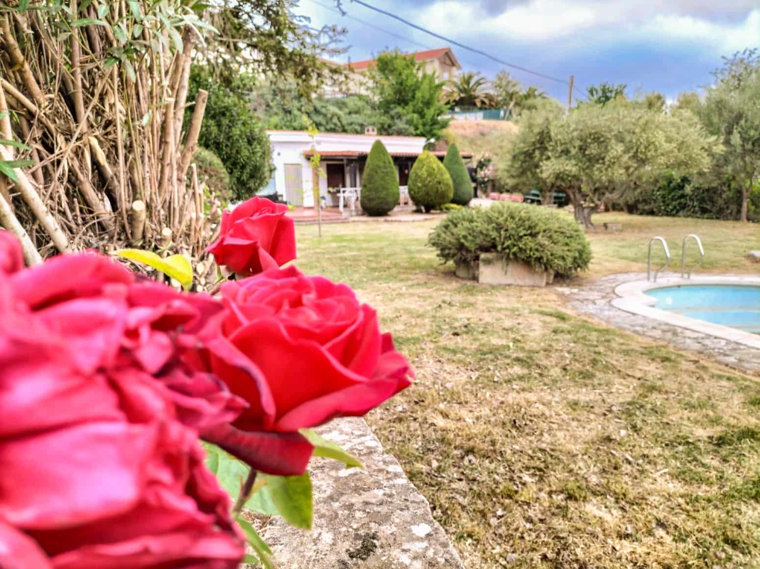 Byggegrund til salg i Ayegui - € 250.000 (Ref: 8905286)