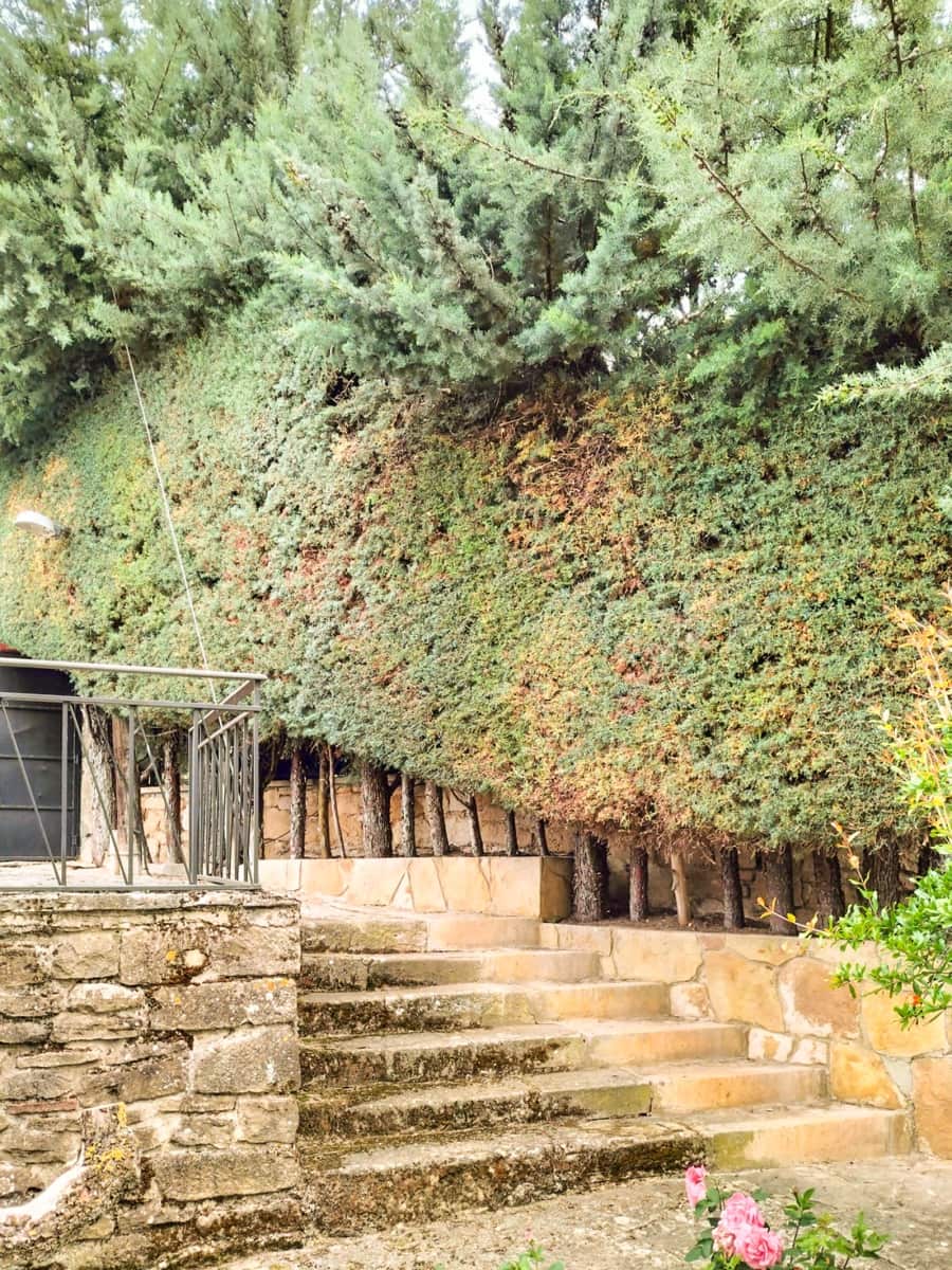 Byggegrund til salg i Ayegui - € 250.000 (Ref: 8905286)