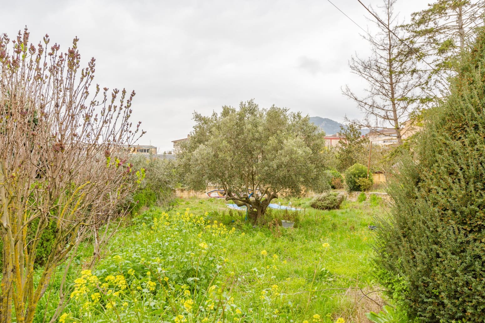 Byggegrund til salg i Ayegui - € 250.000 (Ref: 8905286)