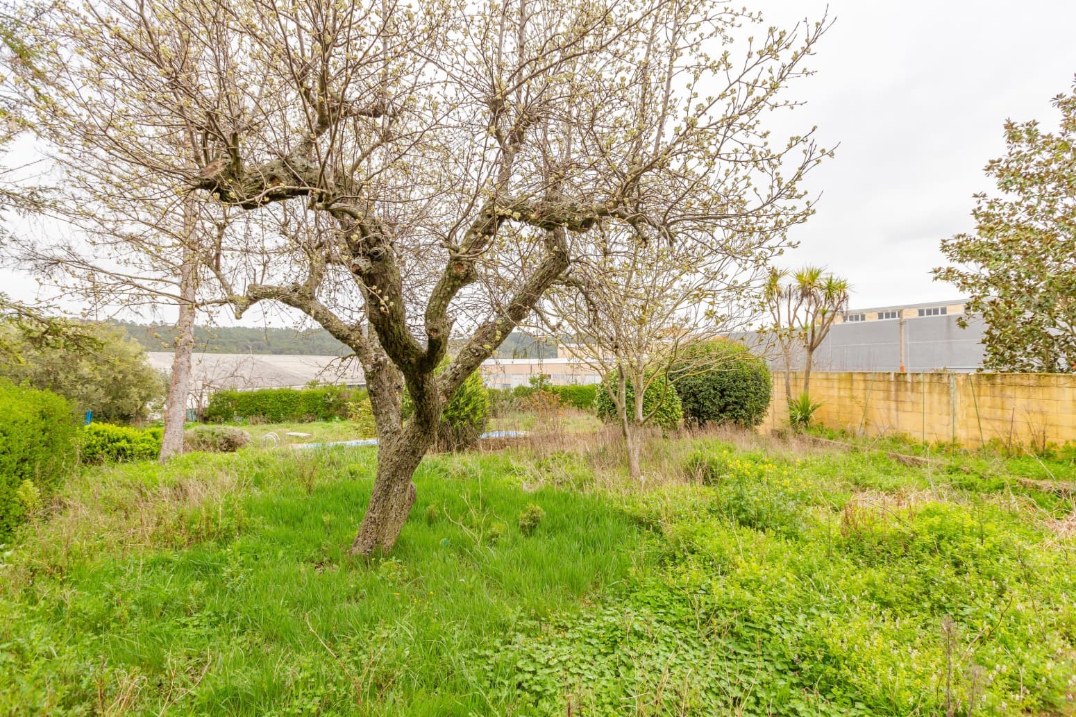 Byggegrund til salg i Ayegui - € 250.000 (Ref: 8905286)