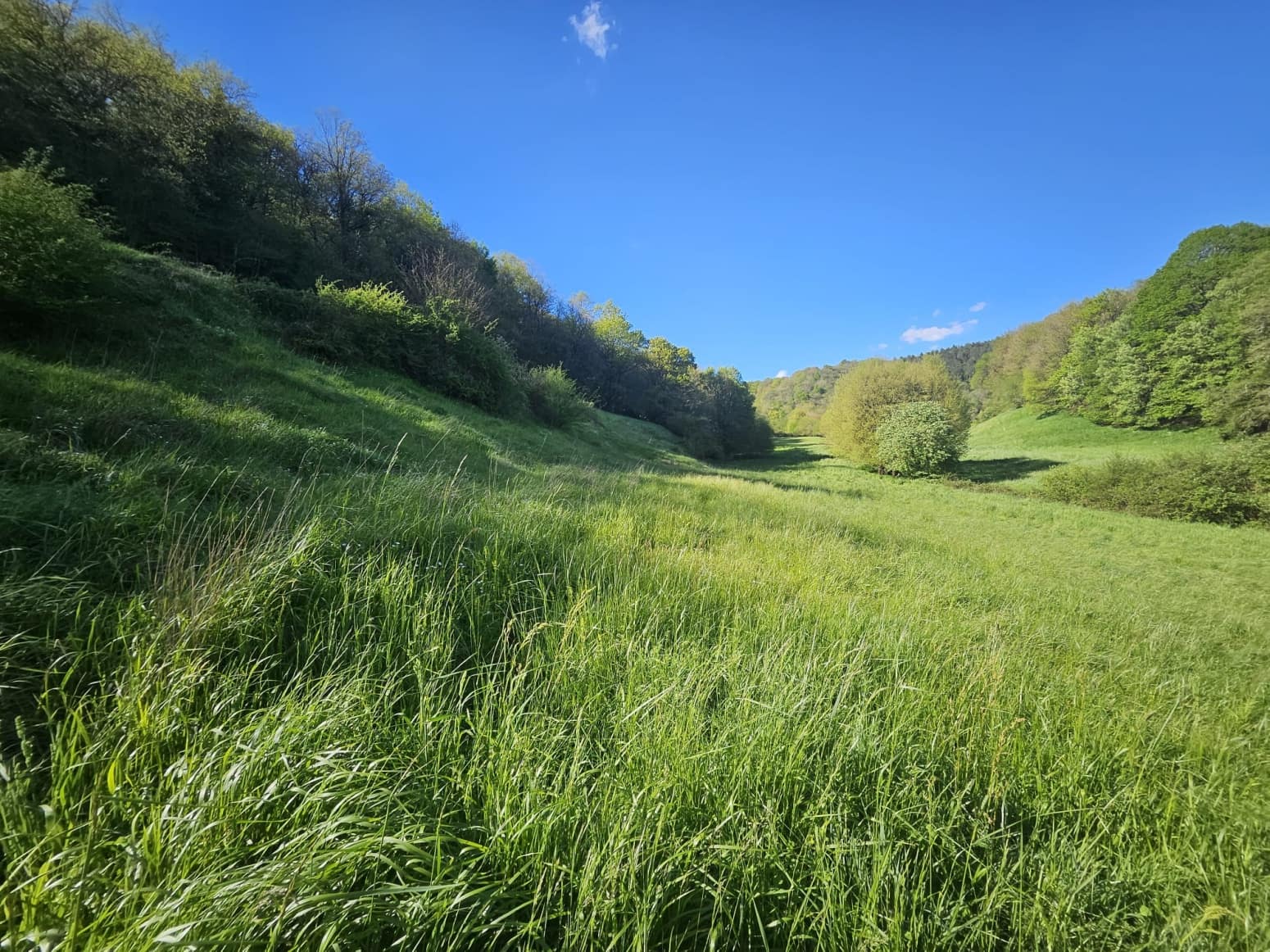 Byggegrund til salg i Imotz - € 230.000 (Ref: 8954199)