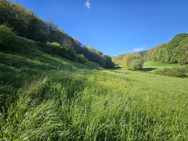 Byggegrund til salg i Imotz - € 230.000 (Ref: 8954199)