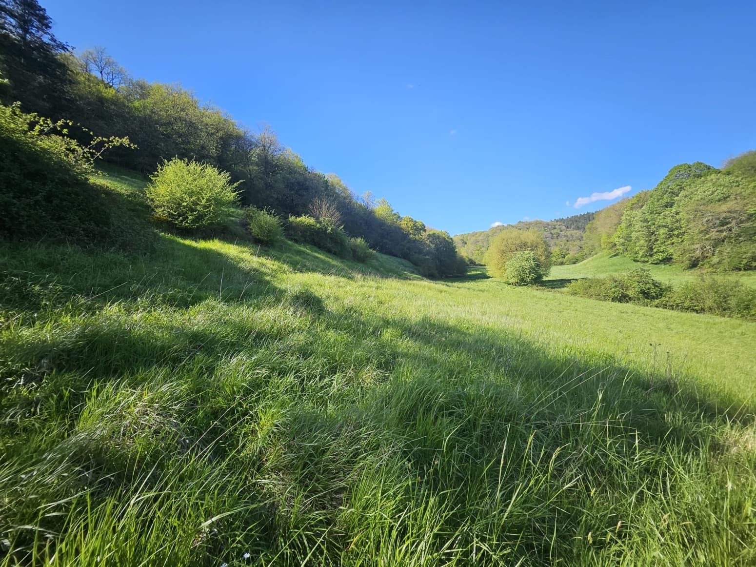 Byggegrund til salg i Imotz - € 230.000 (Ref: 8954199)