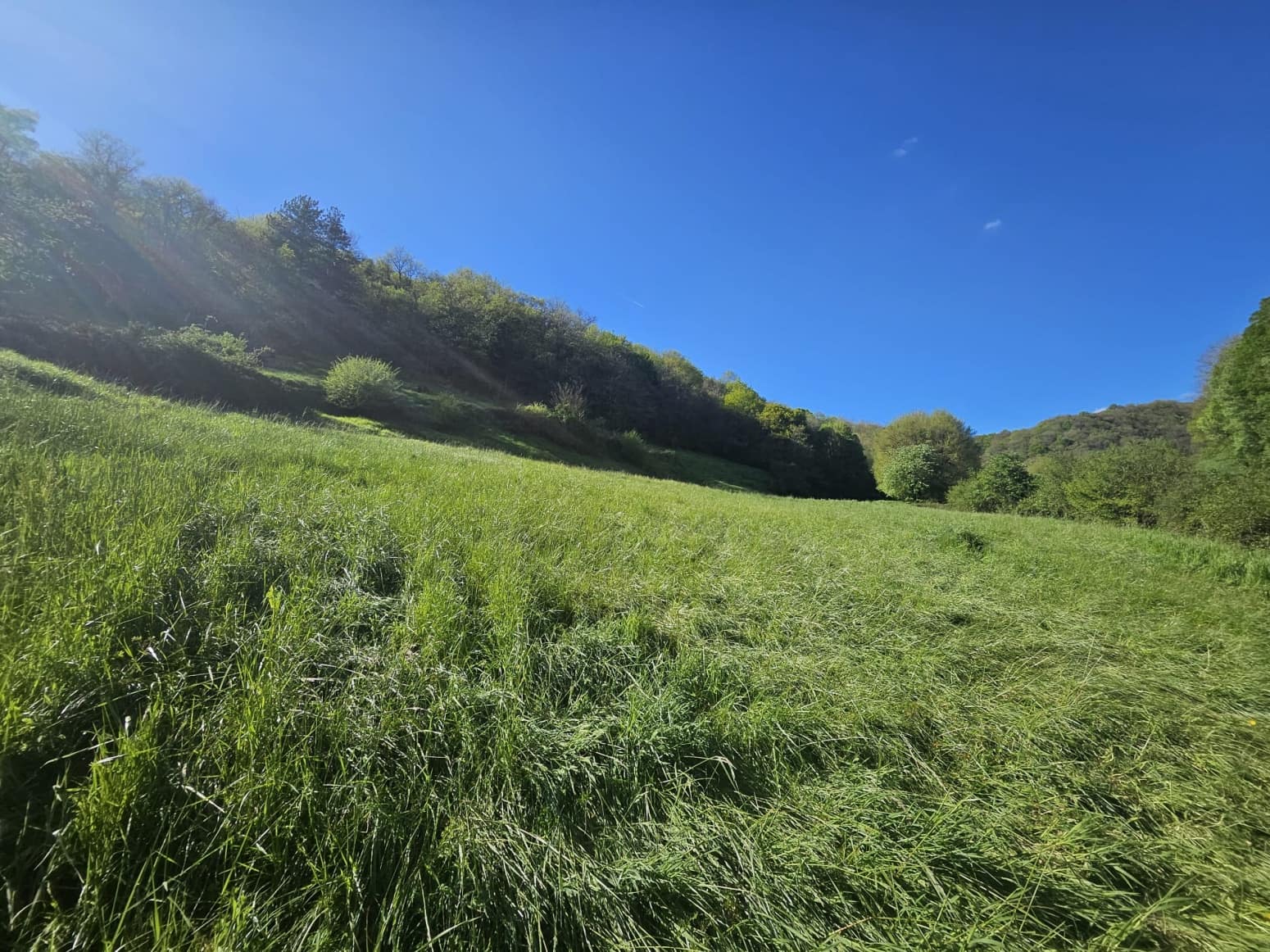 Byggegrund til salg i Imotz - € 230.000 (Ref: 8954199)