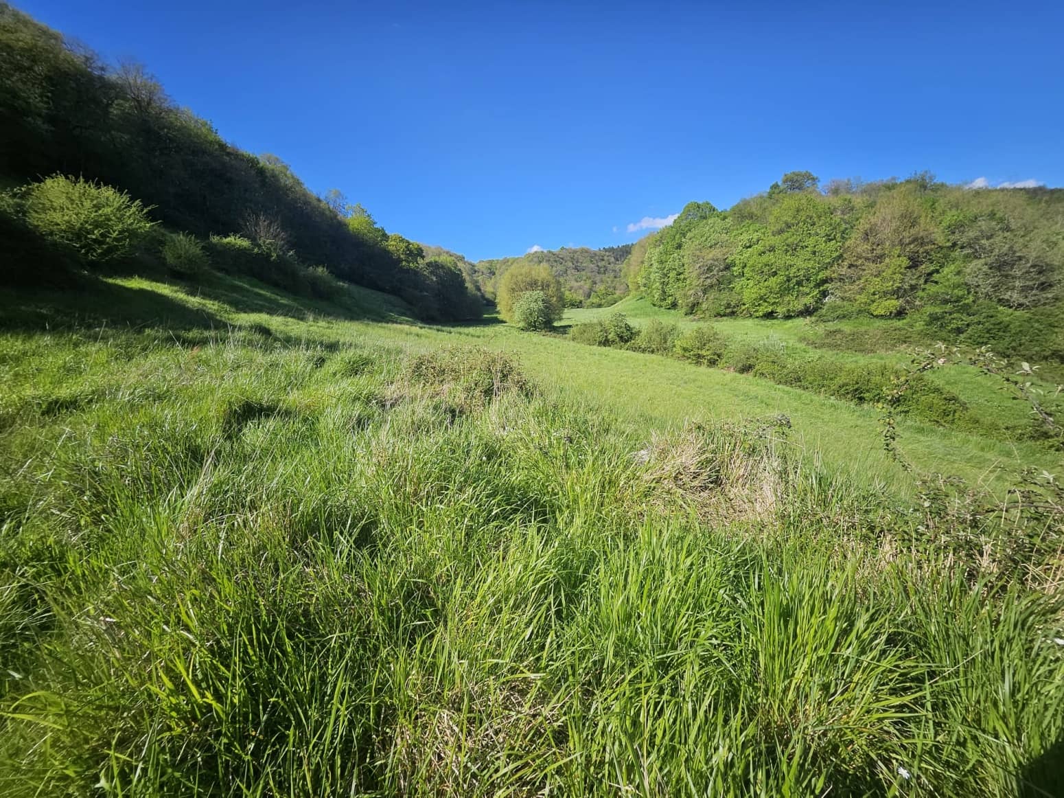 Byggegrund til salg i Imotz - € 230.000 (Ref: 8954199)