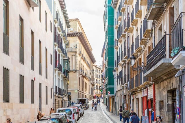 Commercial for sale in Pamplona / Iruña - € 550,000 (Ref: 8975894)