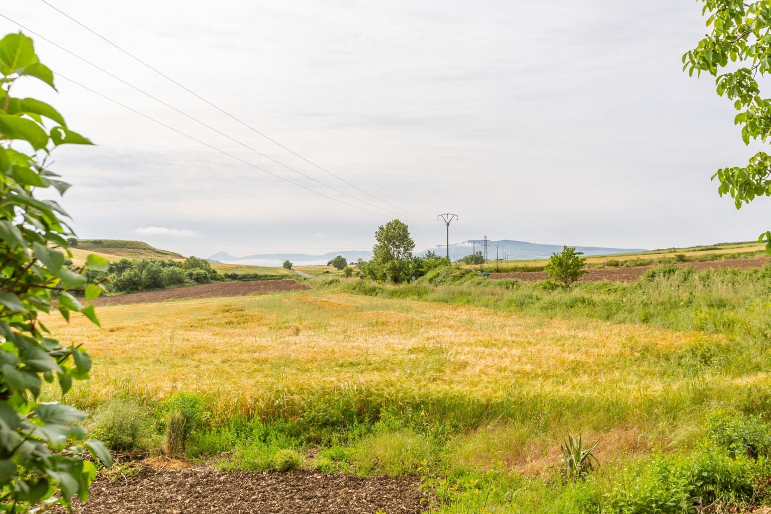 Byggegrund til salg i Olza - € 91.576 (Ref: 9034261)