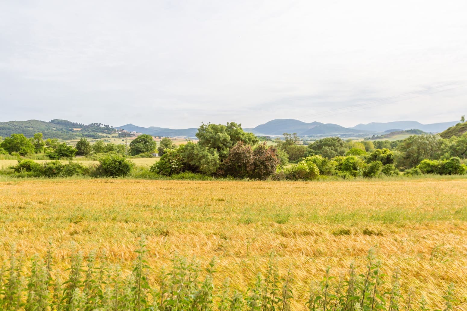 Byggegrund til salg i Olza - € 91.576 (Ref: 9034261)