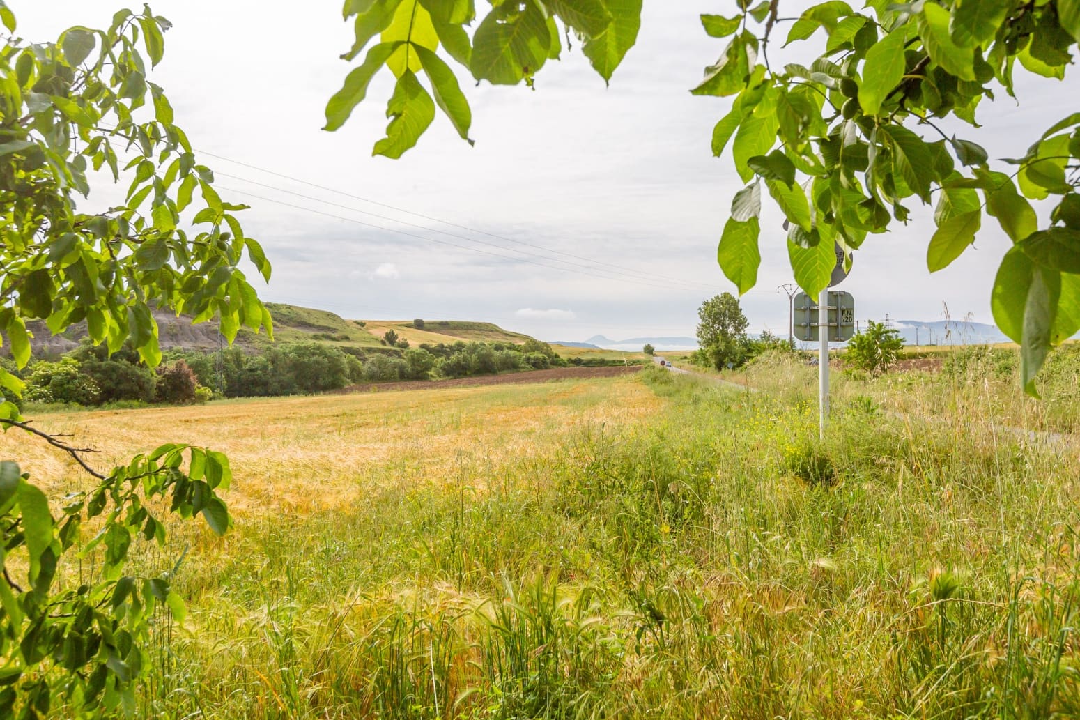 Byggegrund til salg i Olza - € 91.576 (Ref: 9034261)