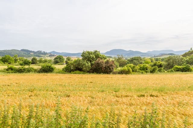 Byggegrund til salg i Olza, Cendea de Olza/Oltza Zendea - € 91.576 (Ref: 9034261)