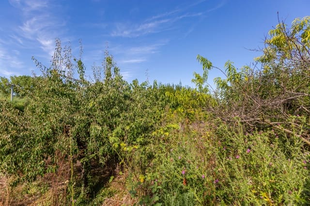 Bouwgrond te koop in Esquiroz, Galar - € 224.155 (Ref: 9148995)