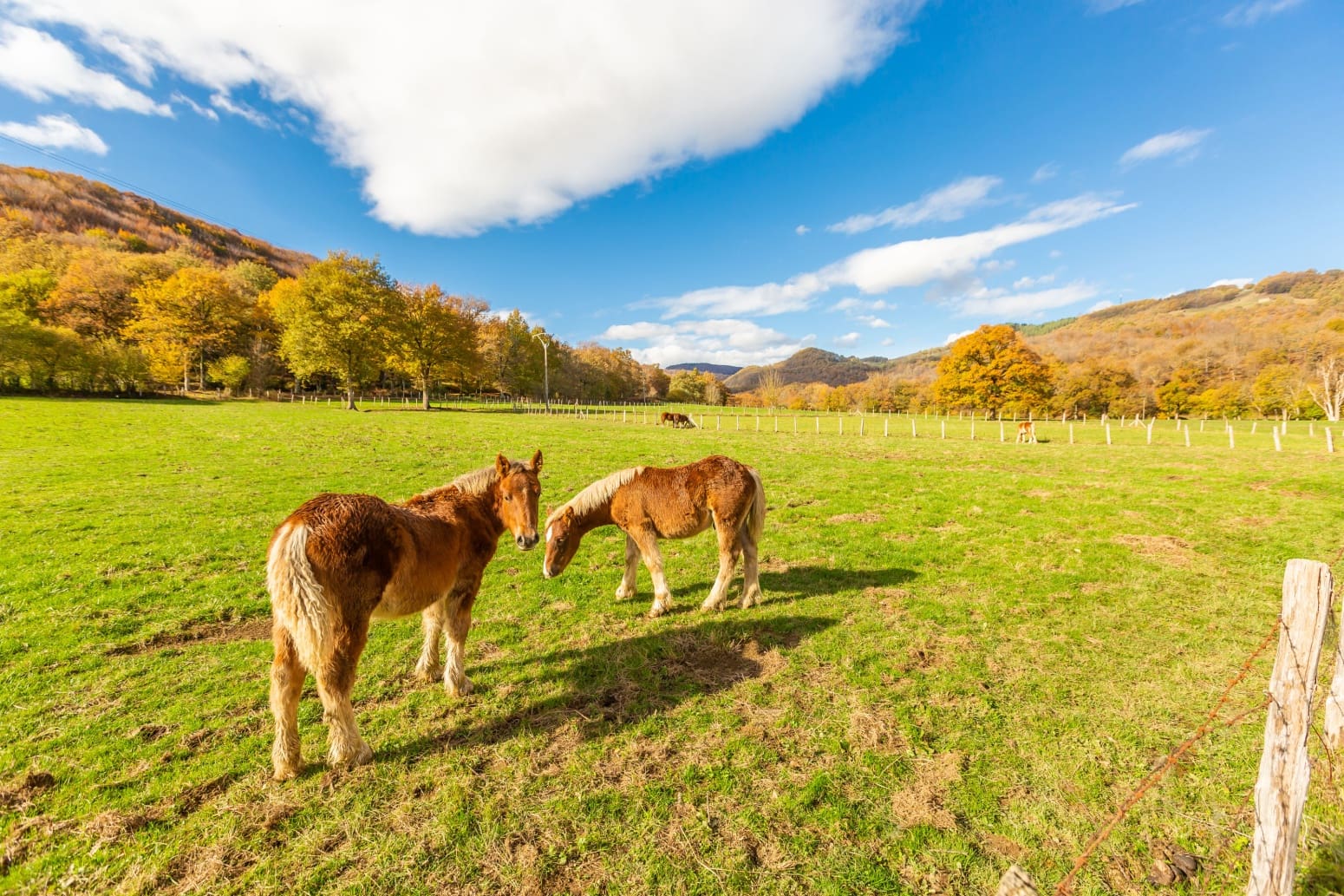 3 makuuhuone Asunto myytävänä paikassa Basaburua mukana 
autotalli - 192 500 € (Ref: 9393276)