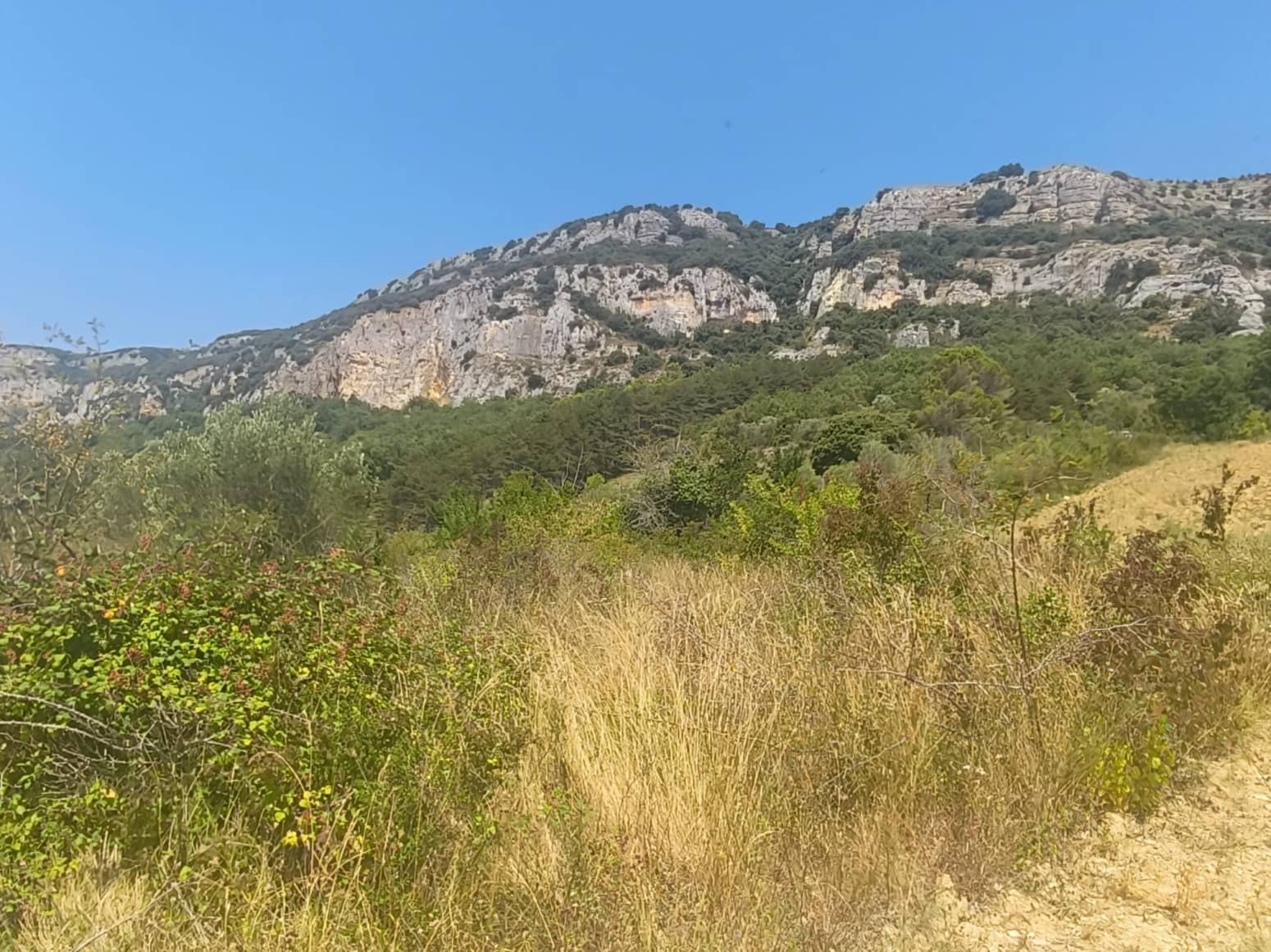 Building Plot for sale in Etxauri - € 18,000 (Ref: 9449397)