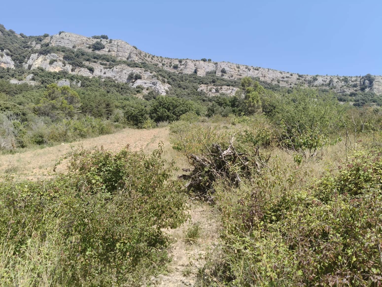 Building Plot for sale in Etxauri - € 18,000 (Ref: 9449397)