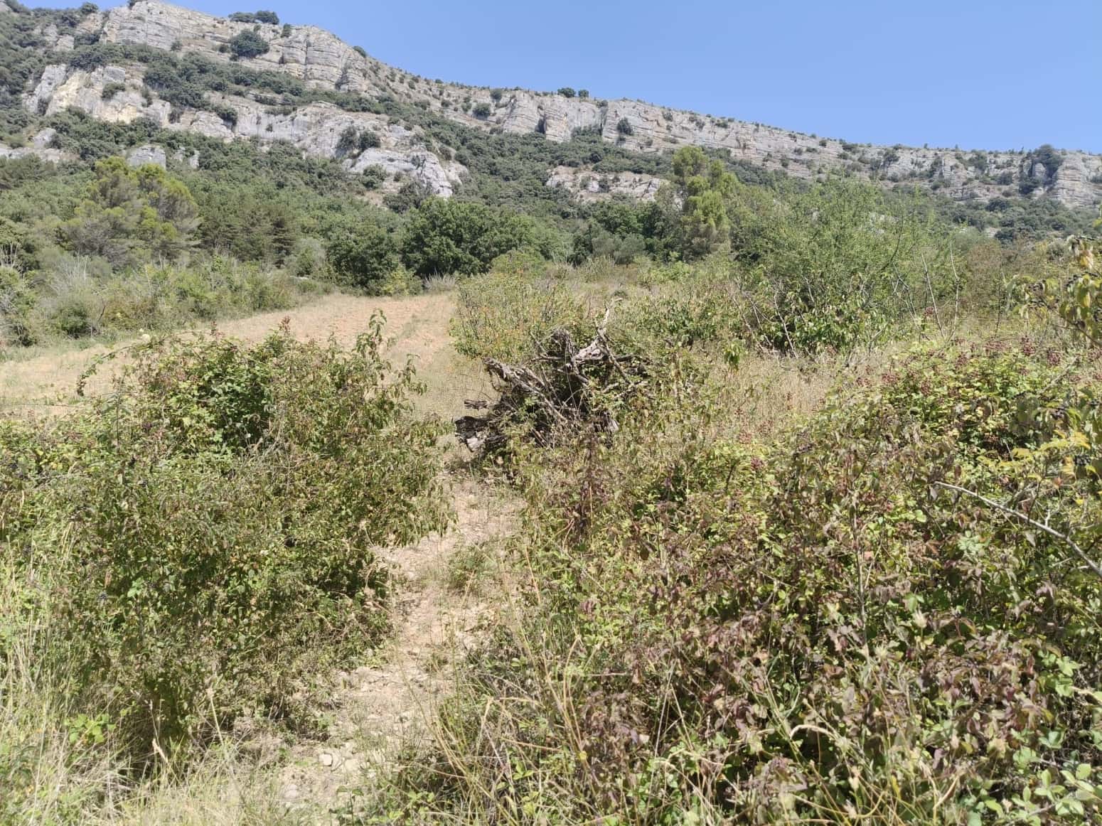 Building Plot for sale in Etxauri - € 18,000 (Ref: 9449397)