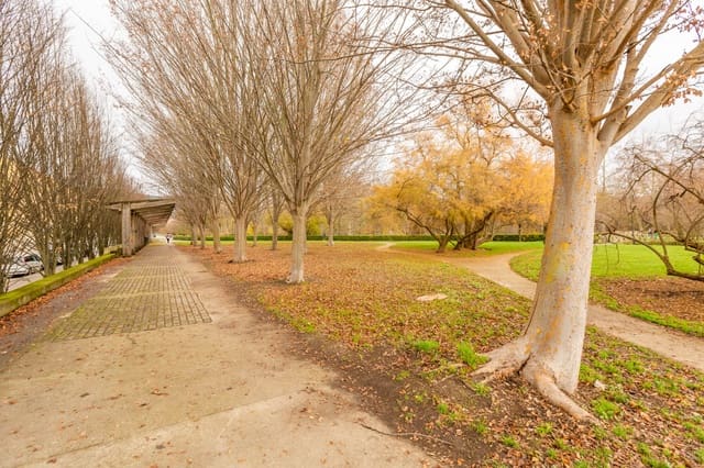 3 chambre Appartement à vendre à Pampelune avec garage - 310 000 € (Ref: 9474016)