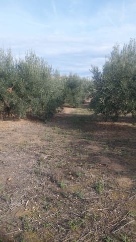 Building Plot for sale in Cintruénigo - € 92,000 (Ref: 9488226)