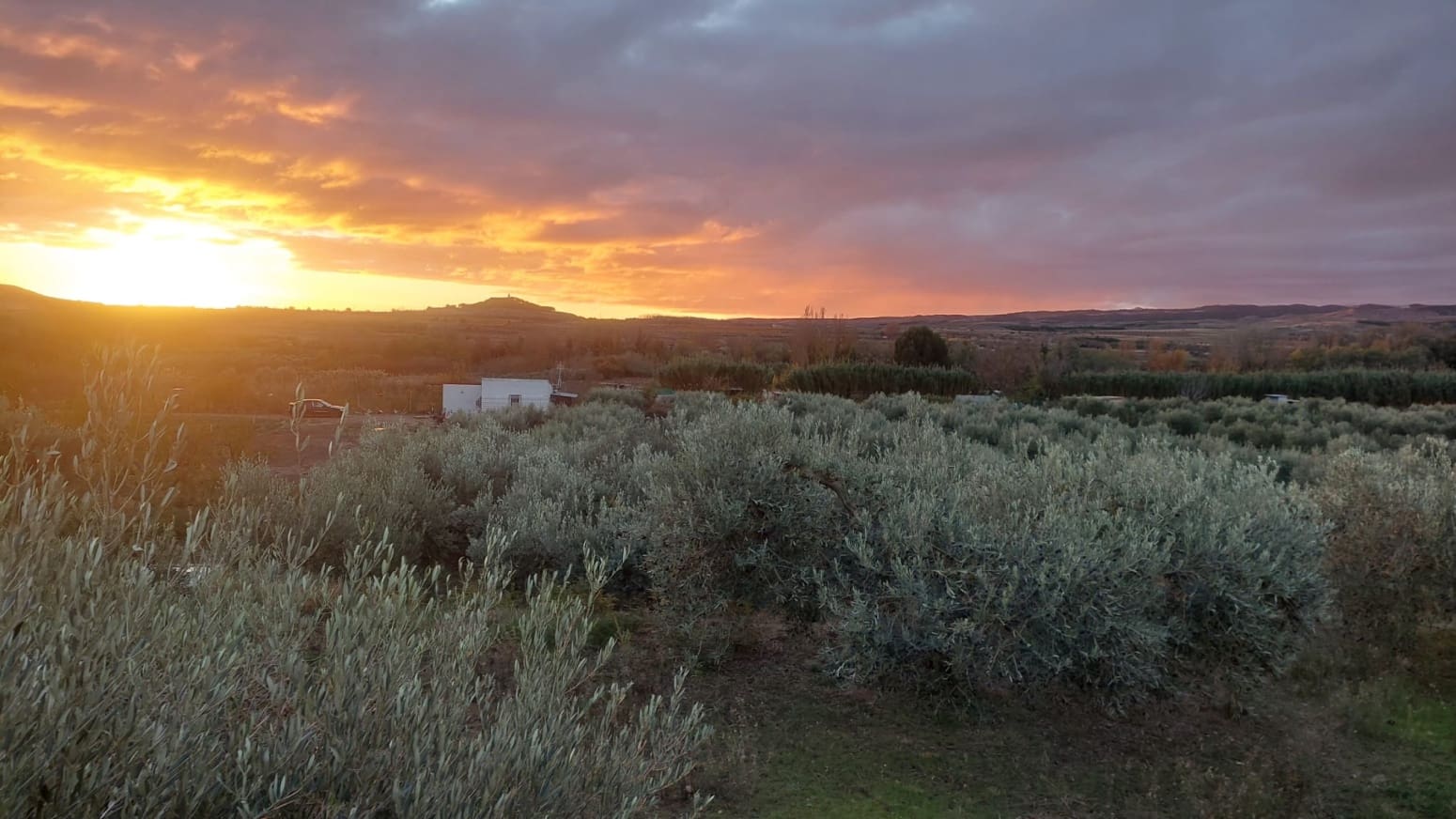 Building Plot for sale in Cintruenigo - € 92,000 (Ref: 9488226)