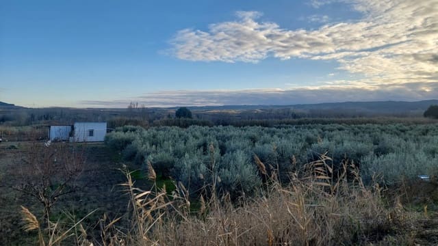 Building Plot for sale in Cintruénigo - € 92,000 (Ref: 9488226)