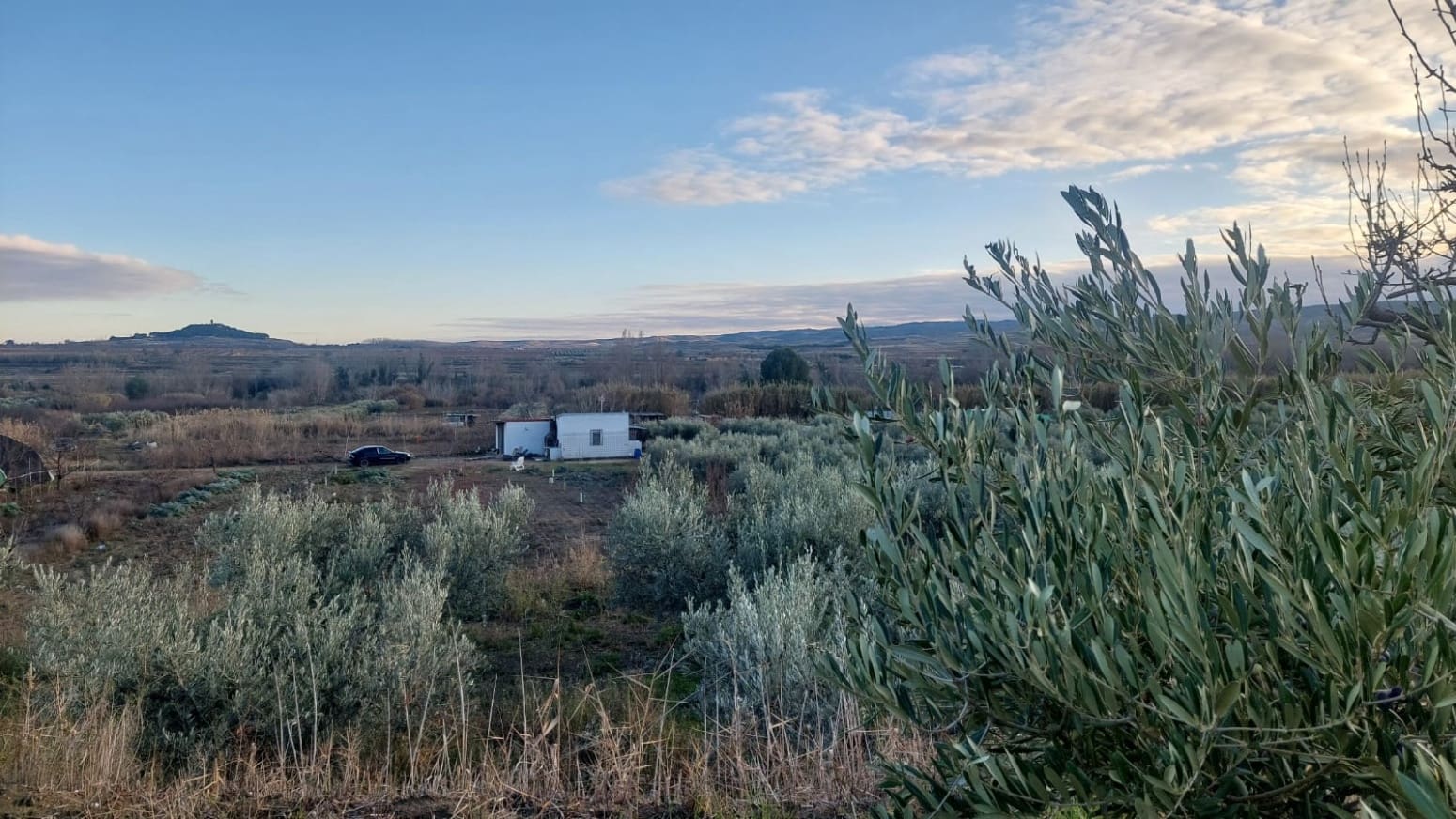 Building Plot for sale in Cintruenigo - € 92,000 (Ref: 9488226)