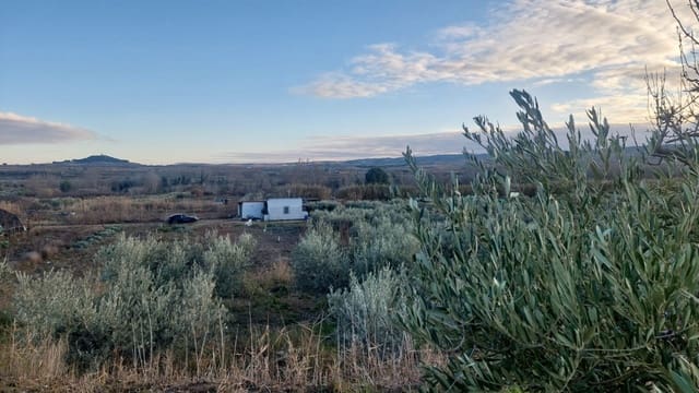 Building Plot for sale in Cintruénigo - € 92,000 (Ref: 9488226)