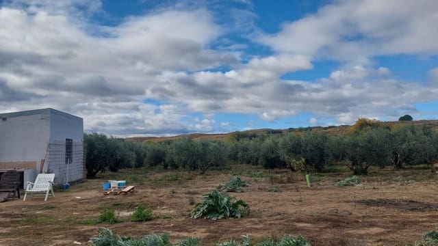 Building Plot for sale in Cintruénigo - € 92,000 (Ref: 9488226)