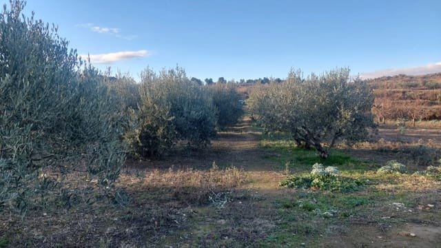 Building Plot for sale in Cintruénigo - € 92,000 (Ref: 9488226)