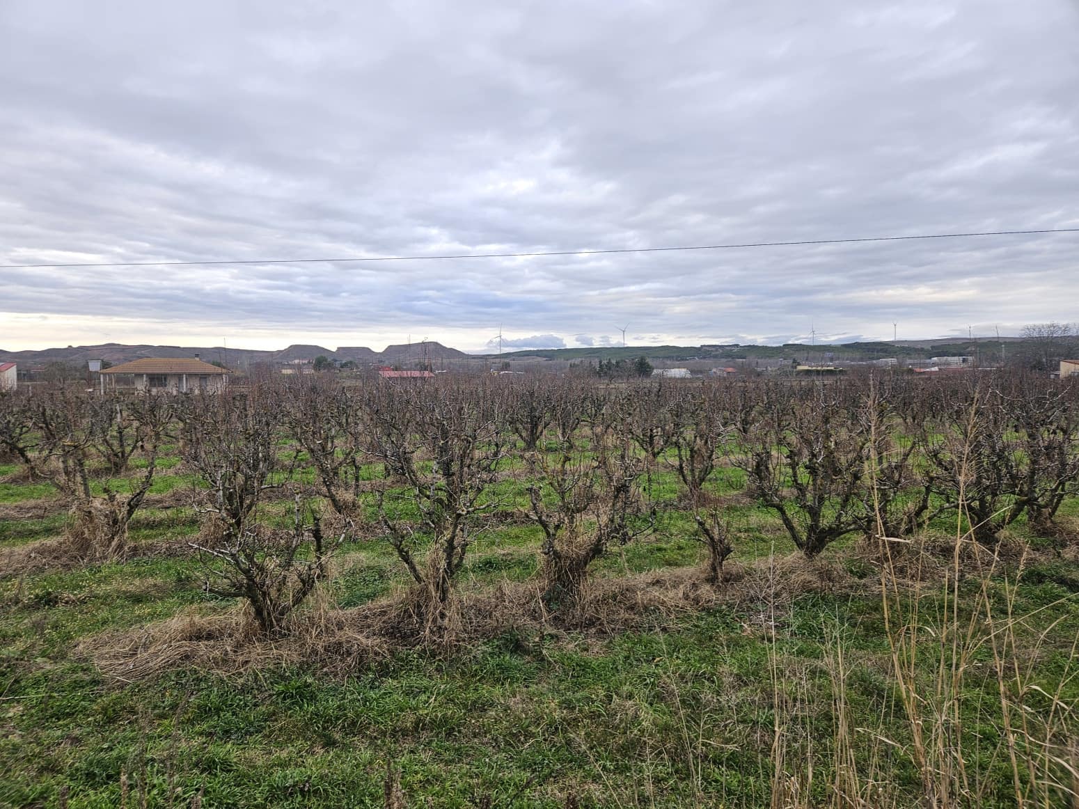 Building Plot for sale in Lodosa - € 198,000 (Ref: 9543162)