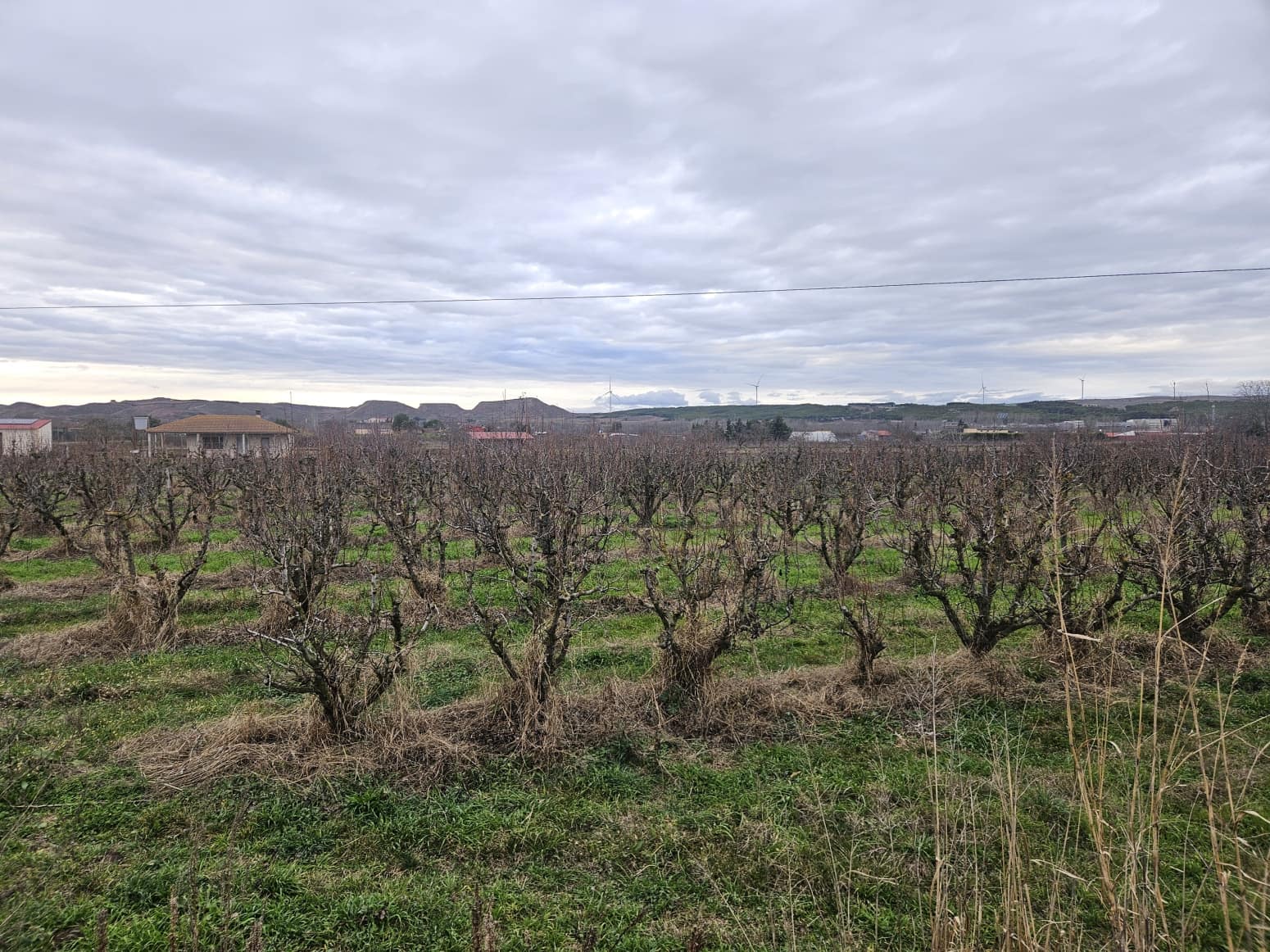 Building Plot for sale in Lodosa - € 198,000 (Ref: 9543162)