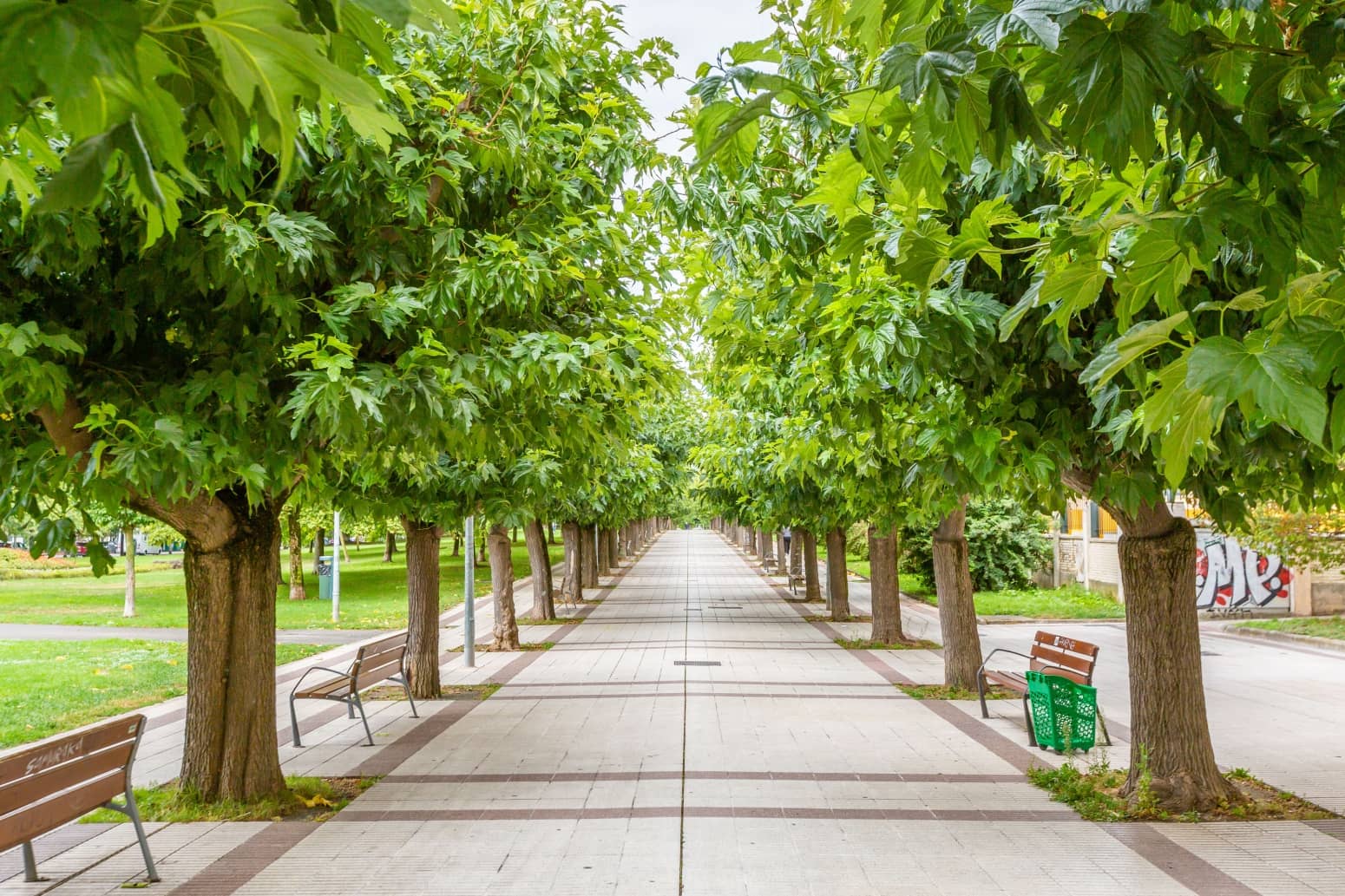 4 slaapkamer Flat te koop in Pamplona met garage - € 420.000 (Ref: 9615252)