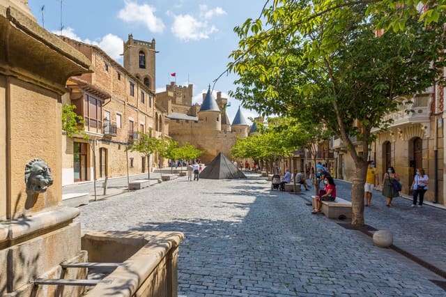 Działka budowlana na sprzedaż w Olite - 57 000 € (Ref: 9655785)