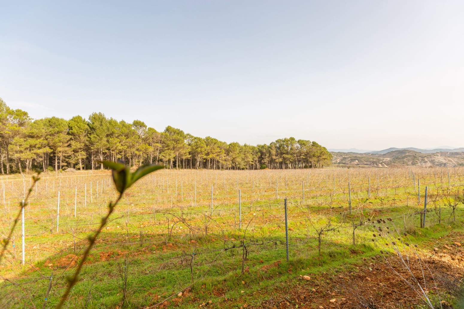 3 soveværelse Villa til salg i Ayegui - € 239.000 (Ref: 9655791)