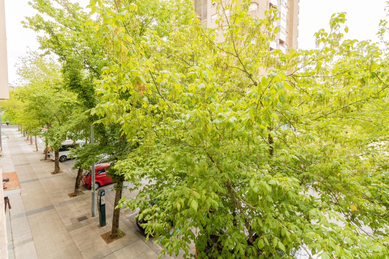 Toimisto vuokrattavana paikassa Pamplona - 250 € (Ref: 9755439)