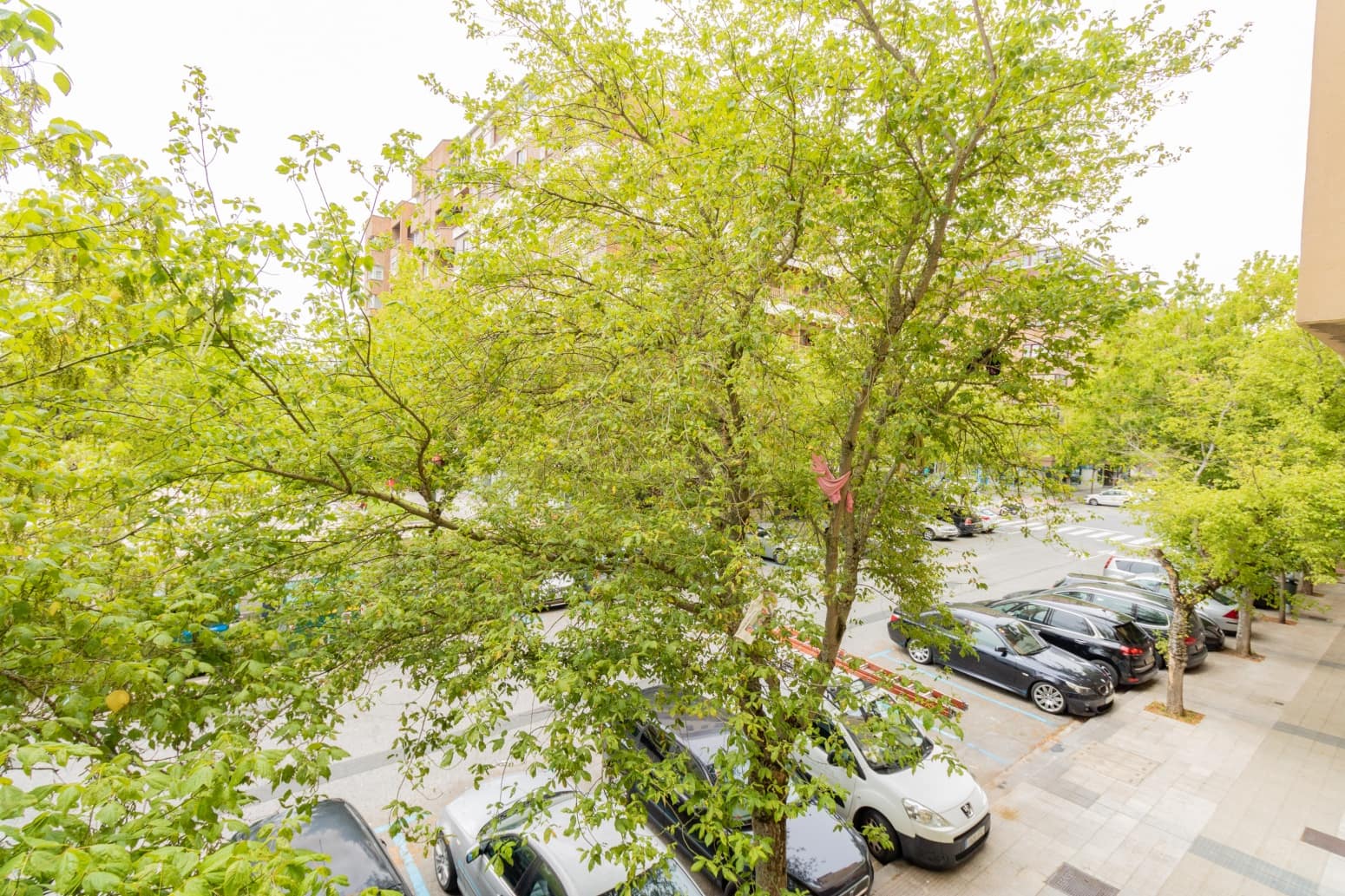 Toimisto vuokrattavana paikassa Pamplona - 250 € (Ref: 9755439)