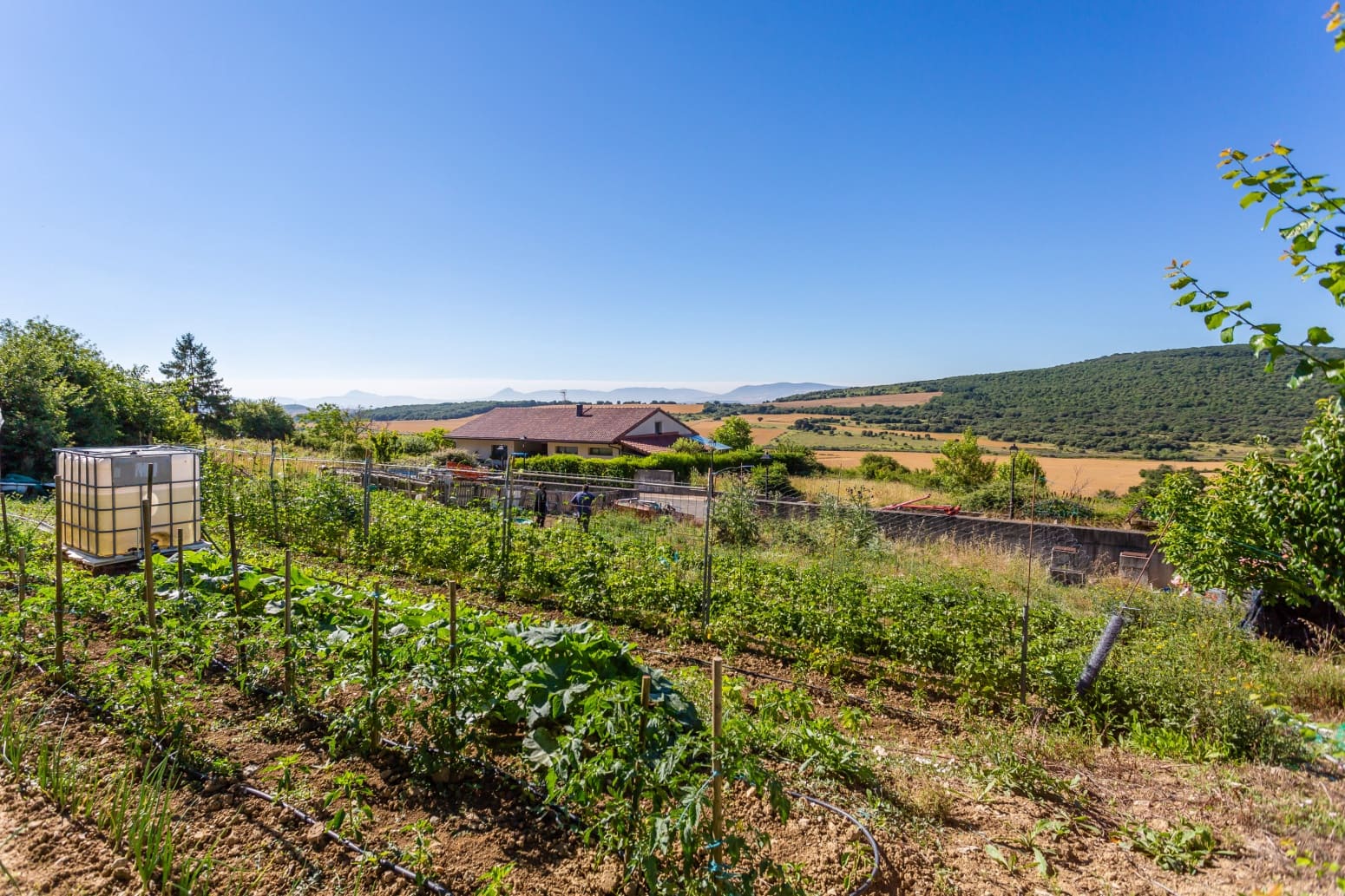 Działka budowlana na sprzedaż w Iza - 140 000 € (Ref: 9798984)