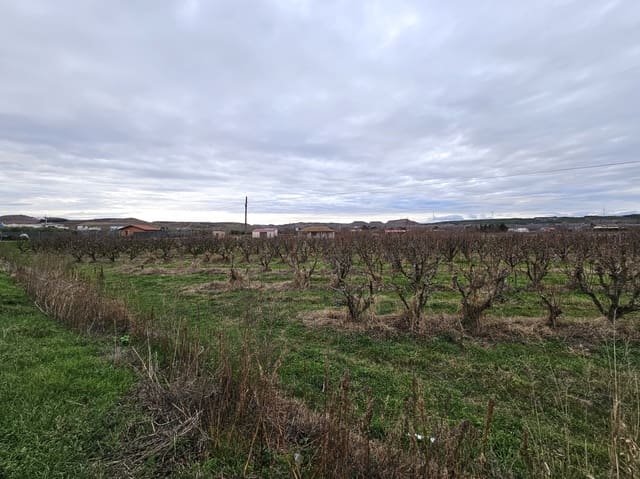 Building Plot for sale in Lodosa - € 78,000 (Ref: 9839026)