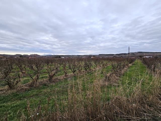 Building Plot for sale in Lodosa - € 78,000 (Ref: 9839026)