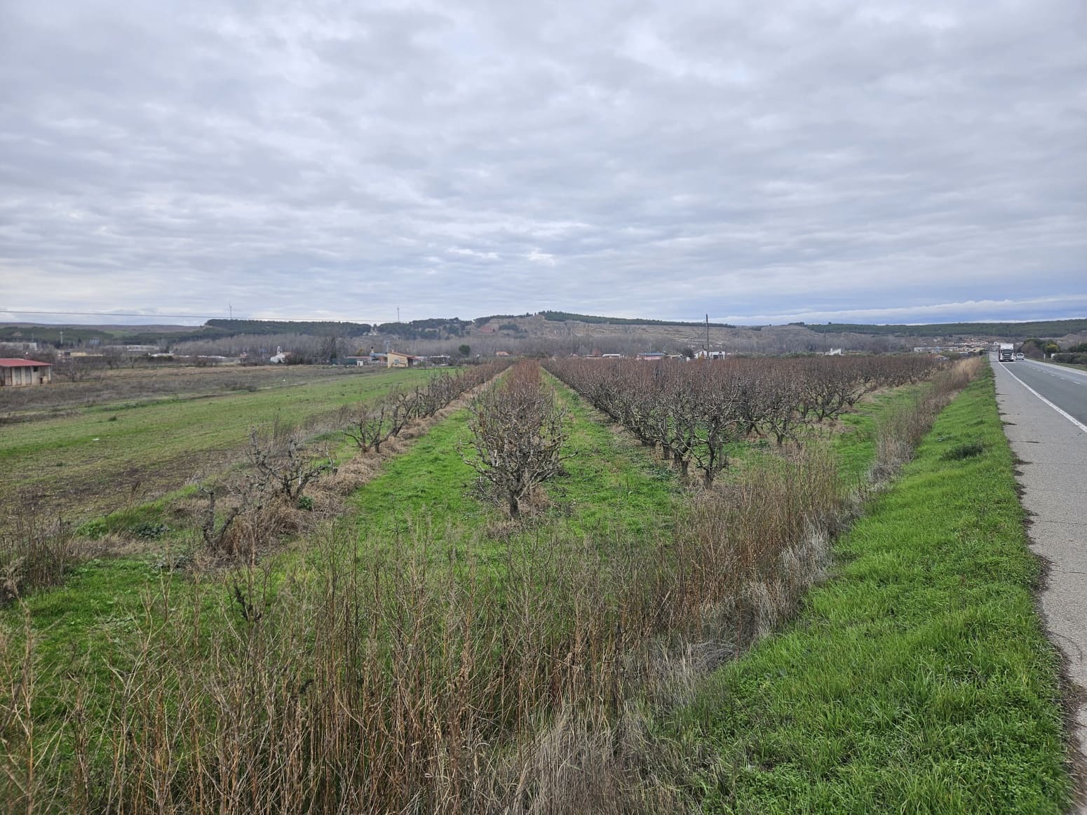 Building Plot for sale in Lodosa - € 18,500 (Ref: 9839027)
