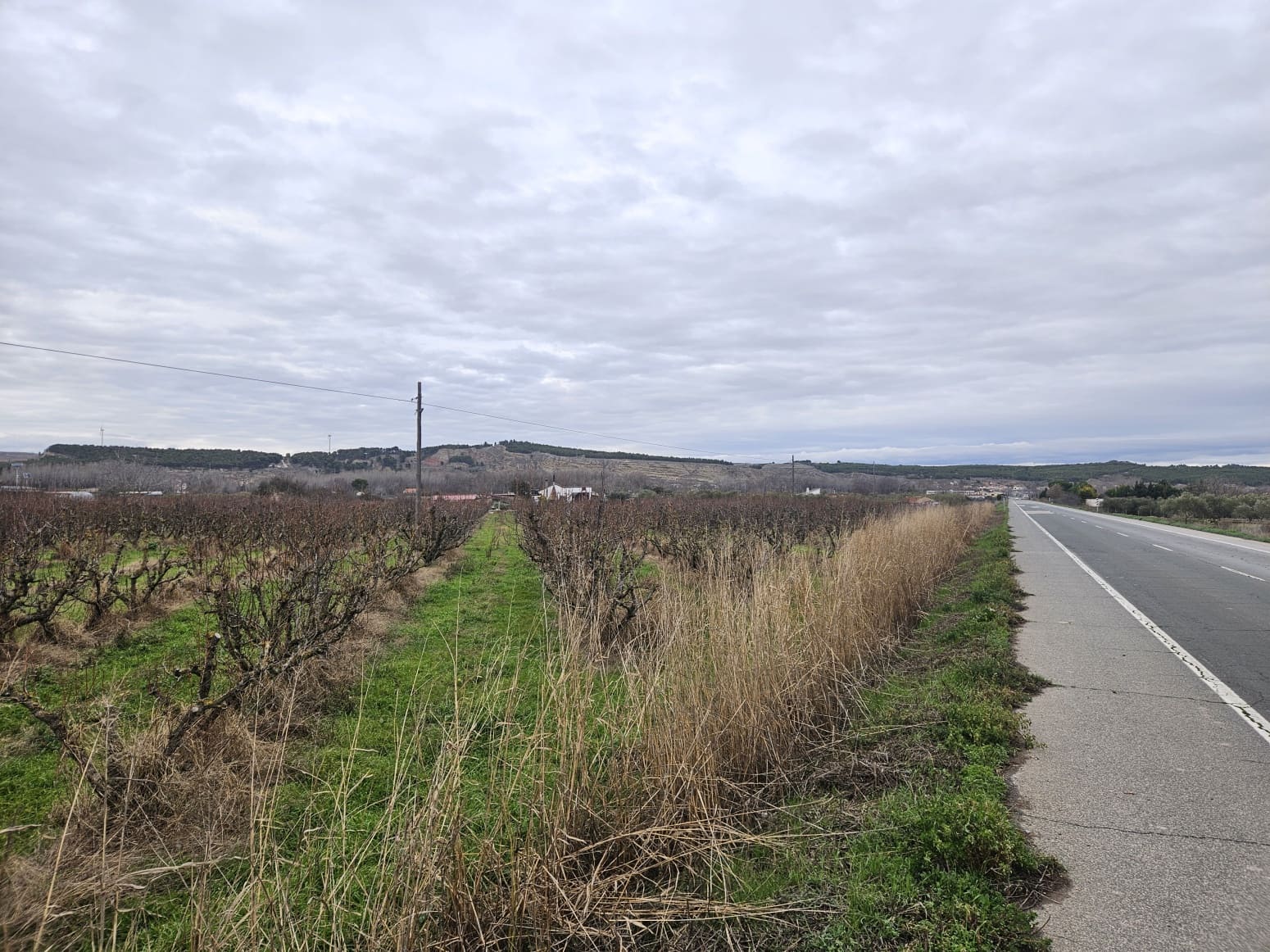 Building Plot for sale in Lodosa - € 18,500 (Ref: 9839027)