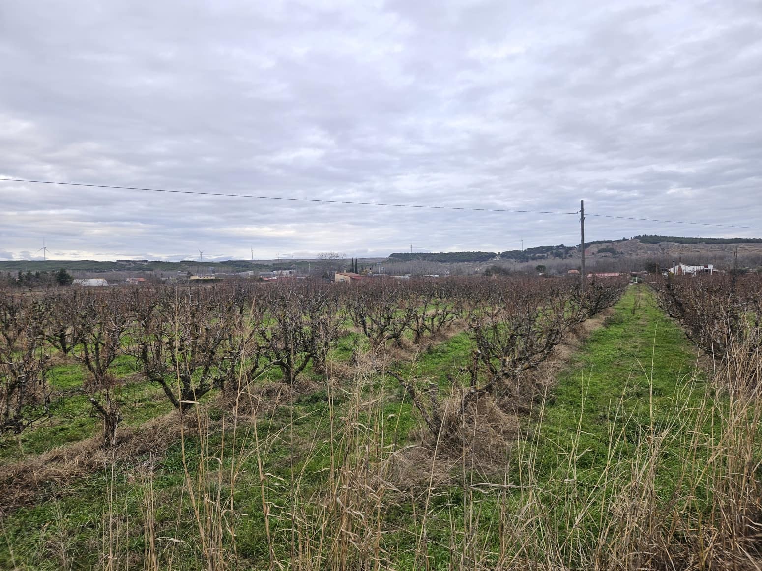 Building Plot for sale in Lodosa - € 18,500 (Ref: 9839027)