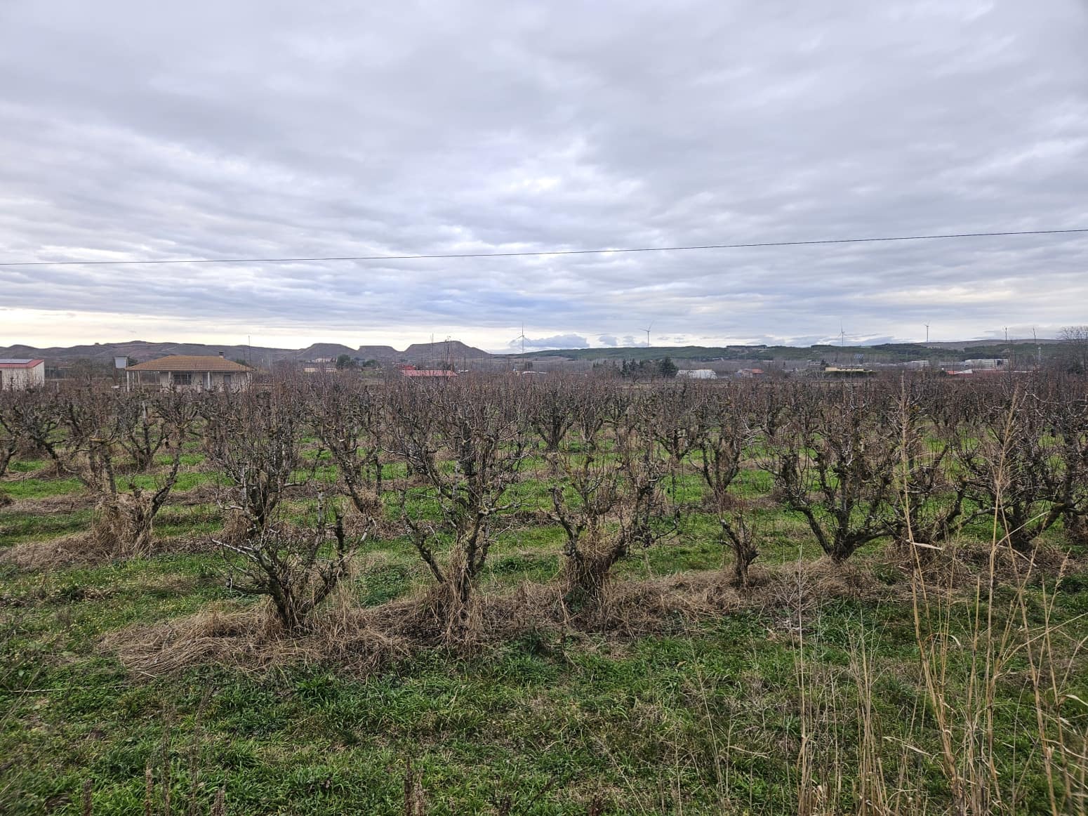 Building Plot for sale in Lodosa - € 18,500 (Ref: 9839027)