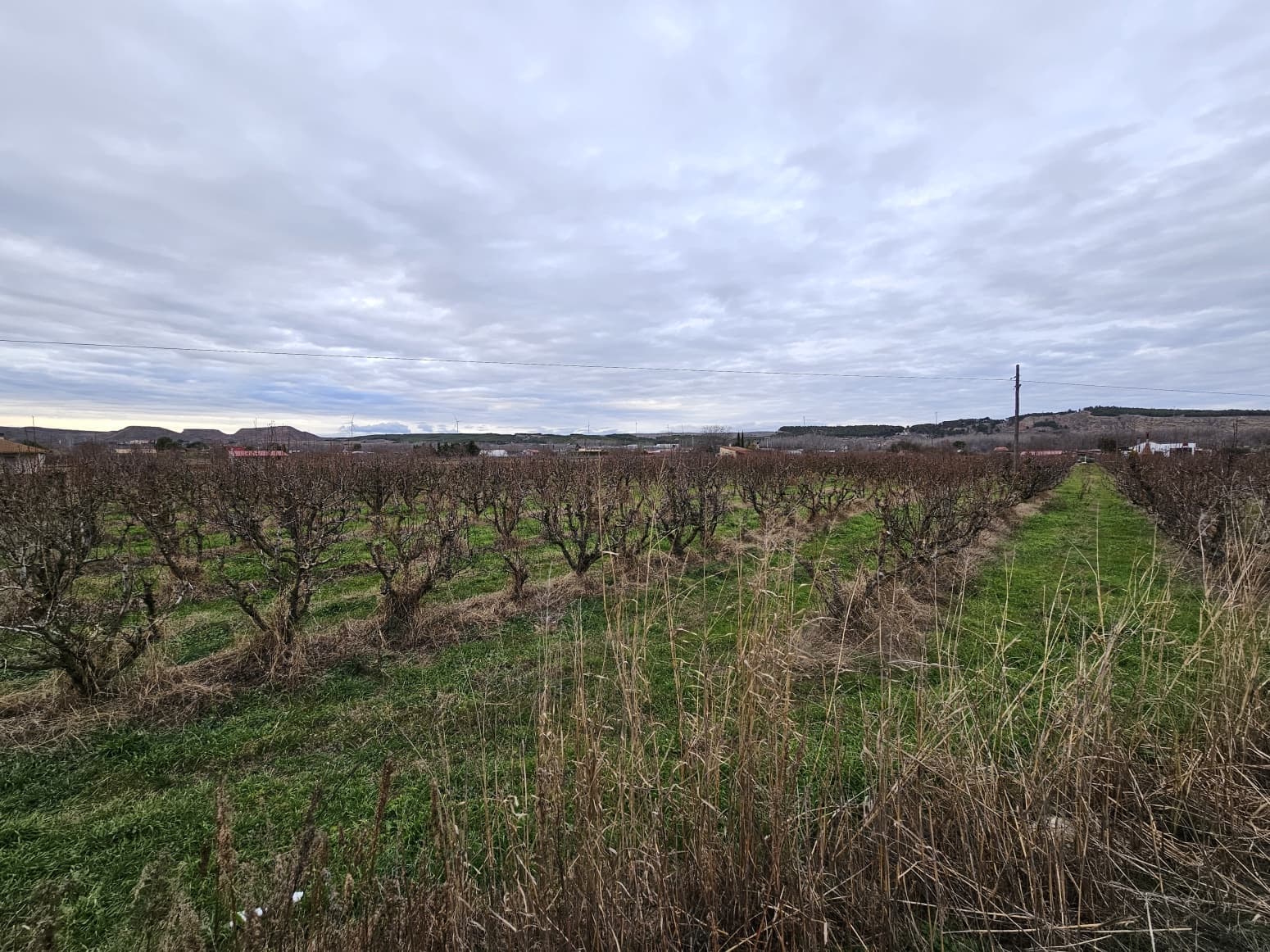 Building Plot for sale in Lodosa - € 18,500 (Ref: 9839027)