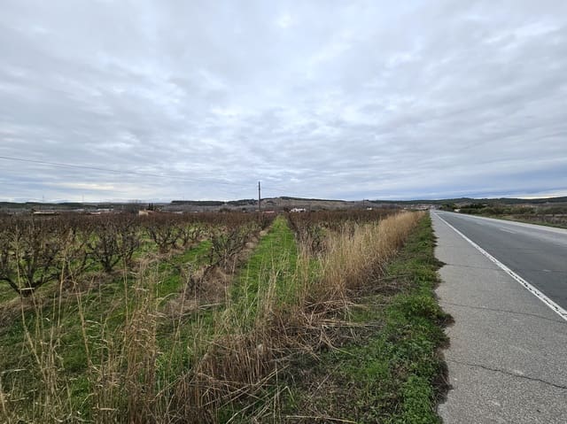 Building Plot for sale in Lodosa - € 18,500 (Ref: 9839027)