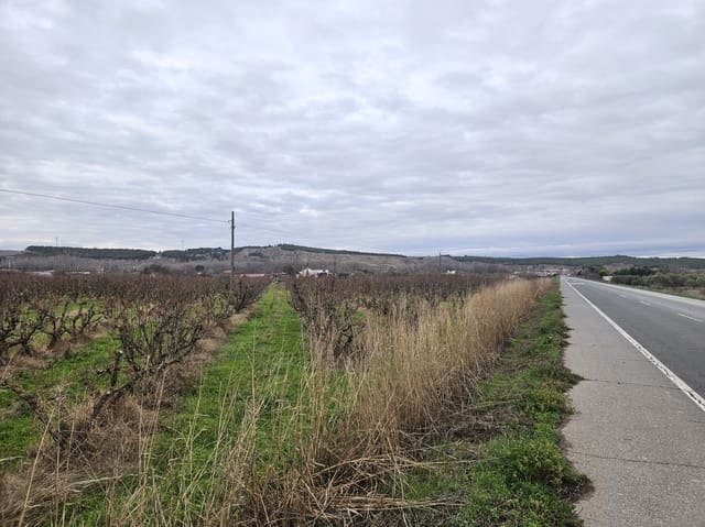 Building Plot for sale in Lodosa - € 18,500 (Ref: 9839027)
