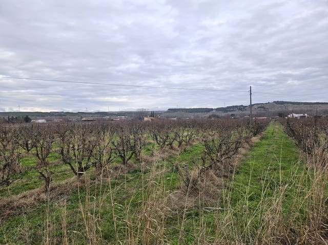 Building Plot for sale in Lodosa - € 18,500 (Ref: 9839027)