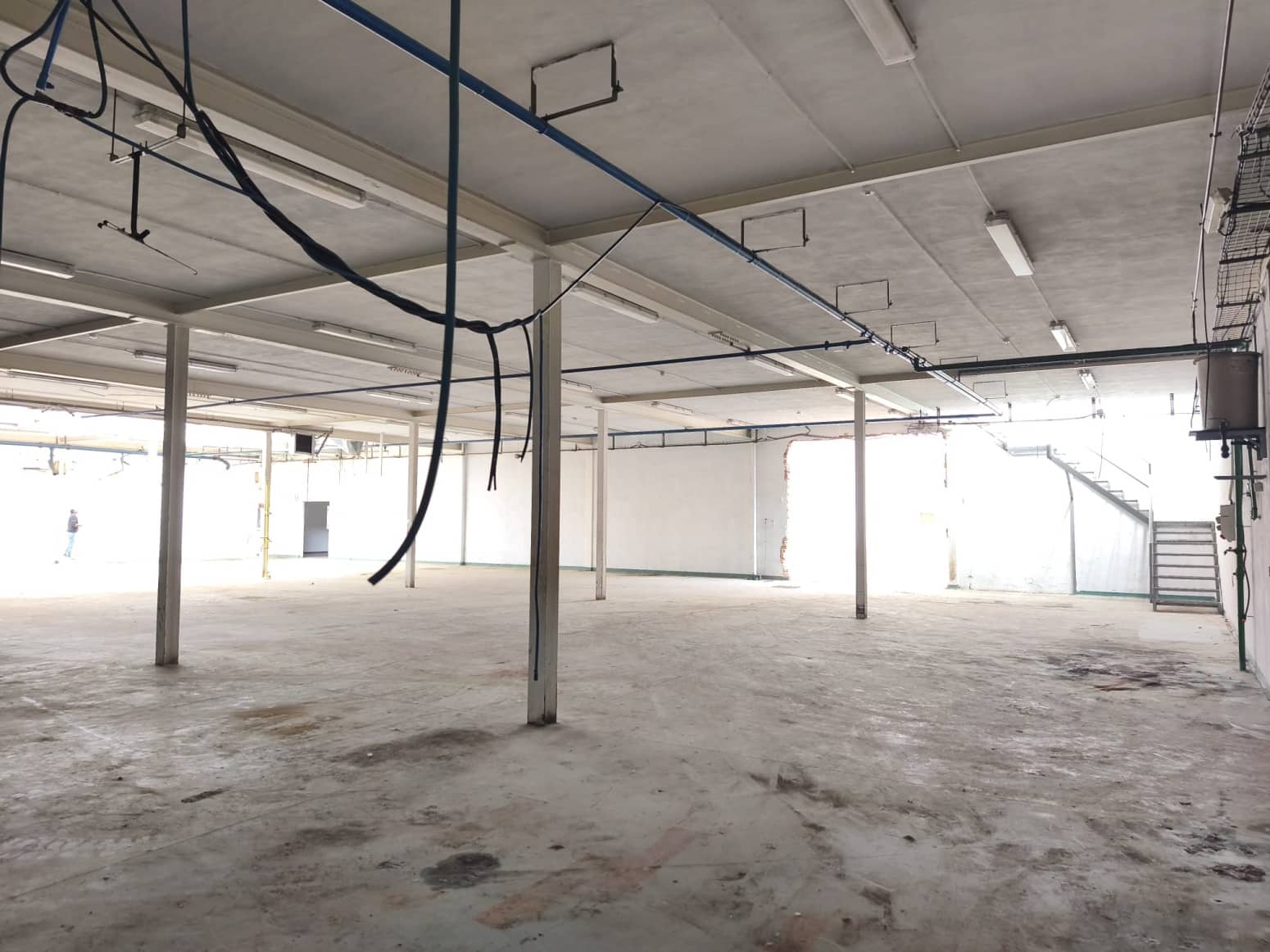 Kommersiell til salgs i Cintruenigo - € 450 000 (Ref: 9855167)