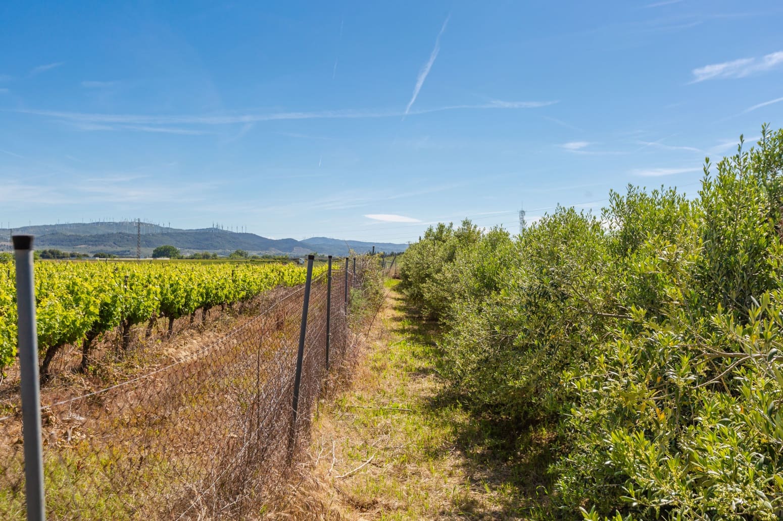 Building Plot for sale in Tafalla - € 180,000 (Ref: 9855168)