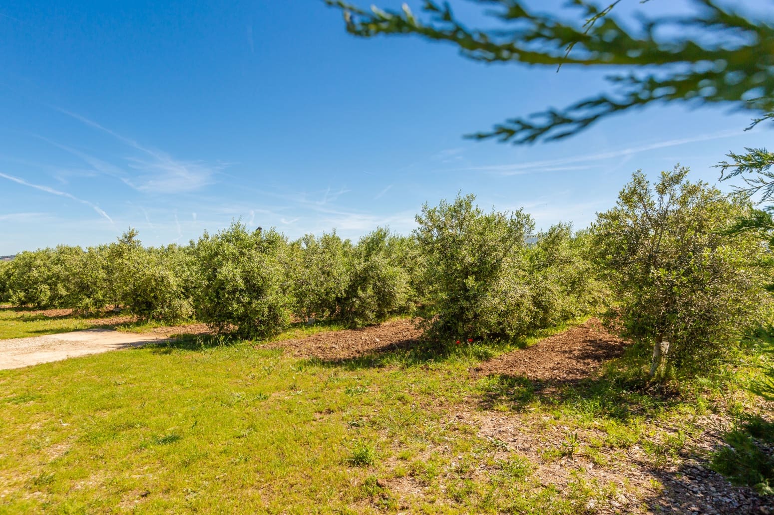 Building Plot for sale in Tafalla - € 180,000 (Ref: 9855168)
