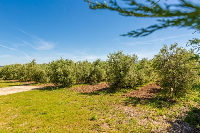 Byggetomt til salgs i Tafalla - € 180 000 (Ref: 9855168)